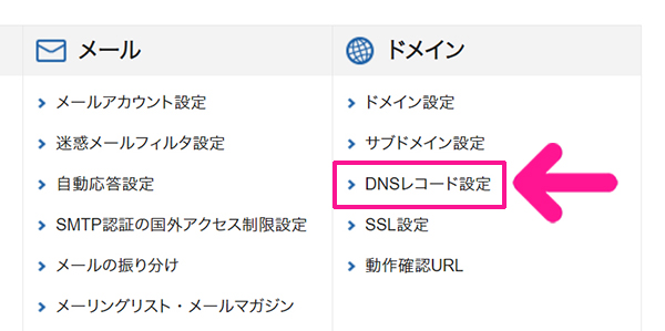 サーチコンソールをWordPressに正しく設定する方法 ステップ29：ドメインにある『DNSレコード設定』をクリックする