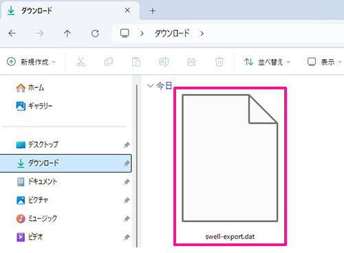 SWELLのデモサイトを初期状態にもどす方法 ステップ4：カスタマイザーのバックアップがダウンロードできました